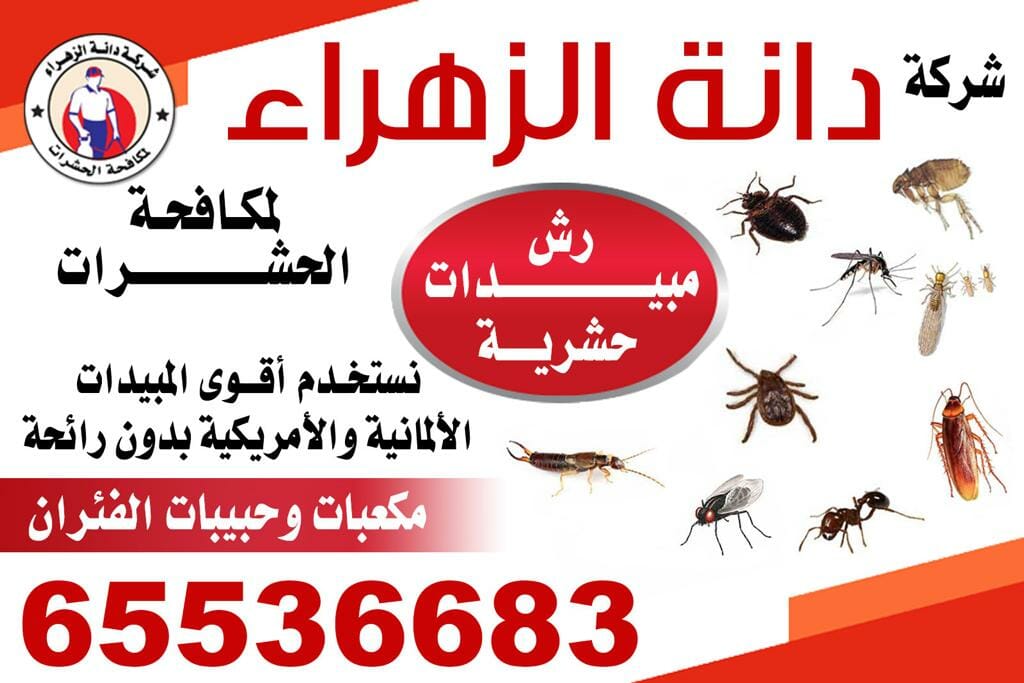 رش مبيدات حشرية بالكويت