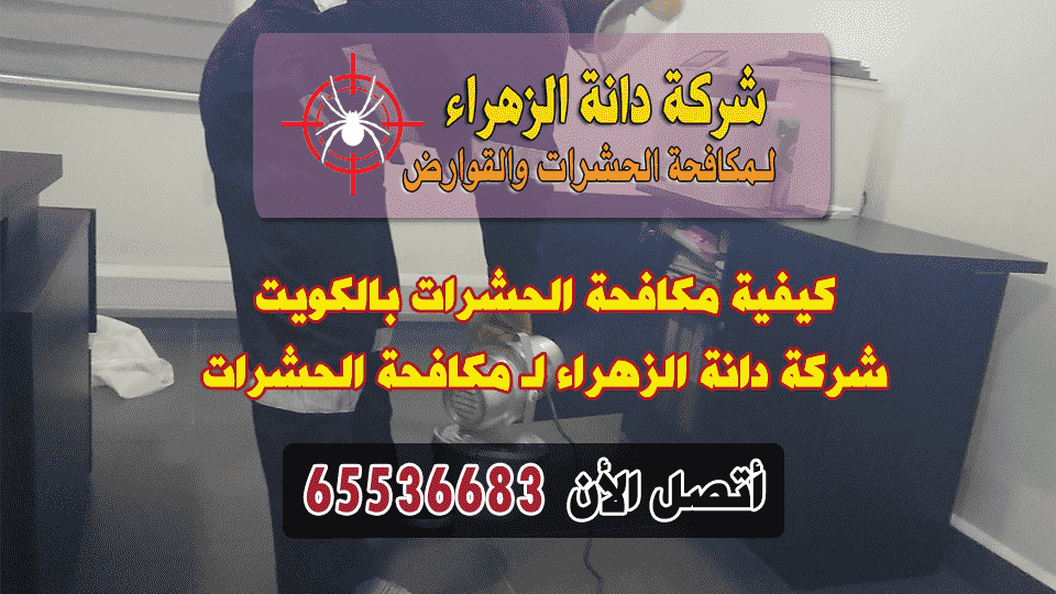 كيفية مكافحة الحشرات بالكويت