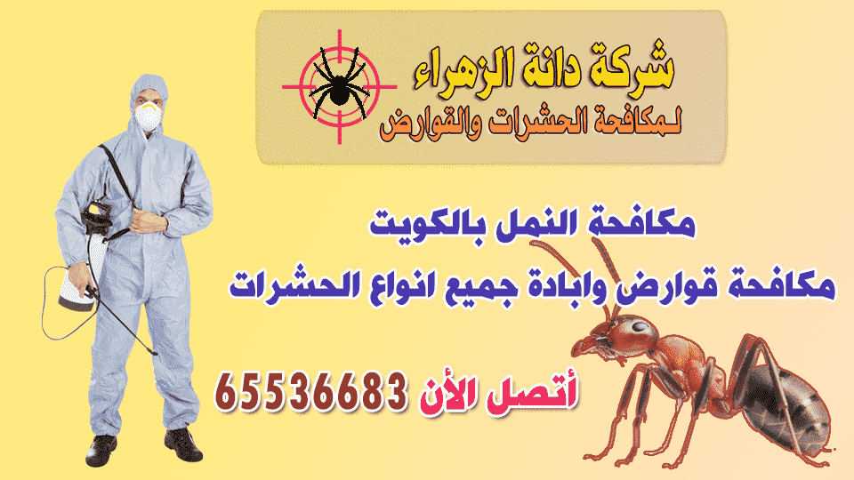 مكافحة النمل بالكويت