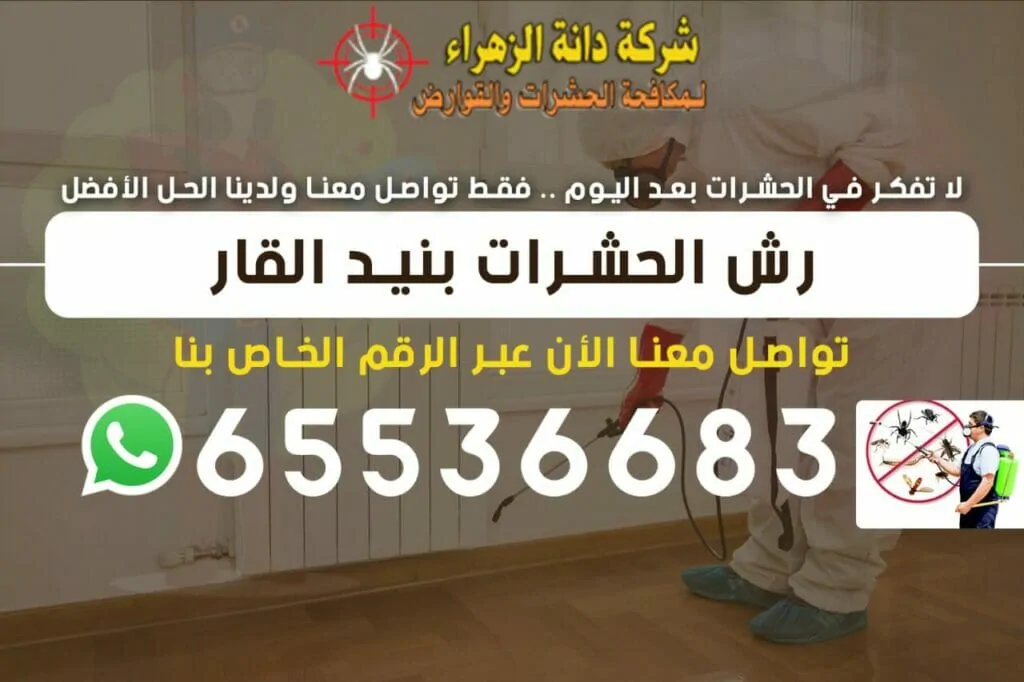 رش الحشرات بنيد القار 65536683